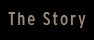 The Whole Story