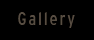 All The Photos Fit To See, You Are Here