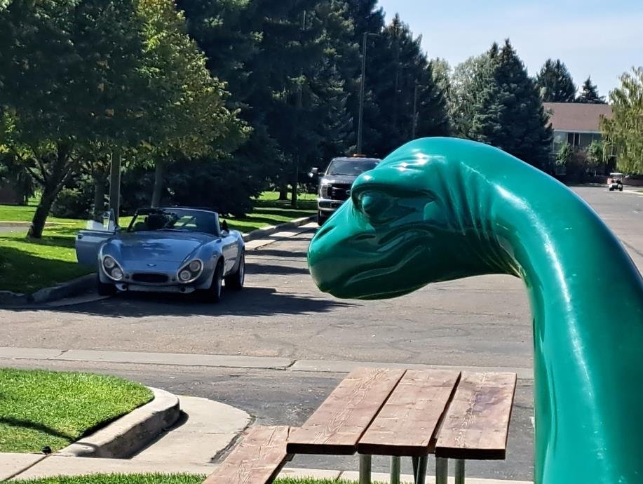 Dino Says "Whaa?"